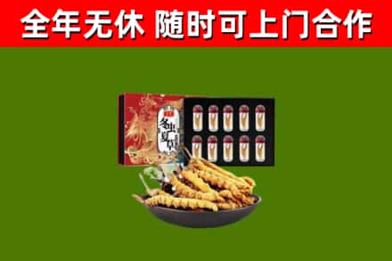 淳化烟酒回收冬虫夏草礼盒.jpg